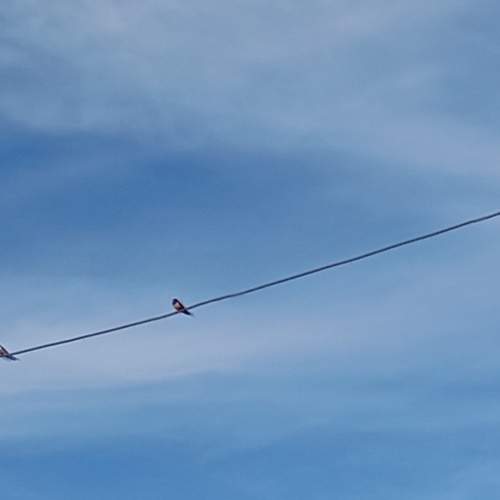 Photo #12381421