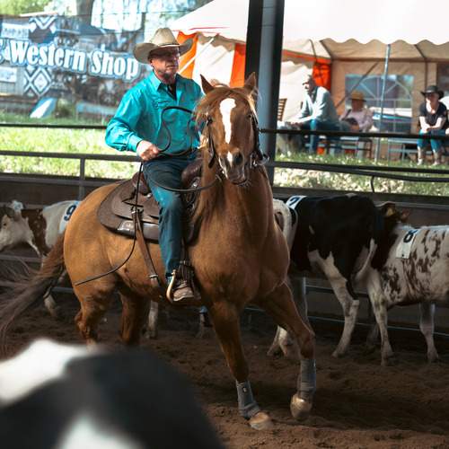 Photo #12381528