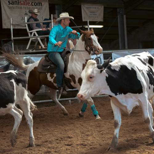 Photo #12381529