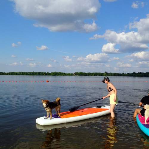 Photo #12381807