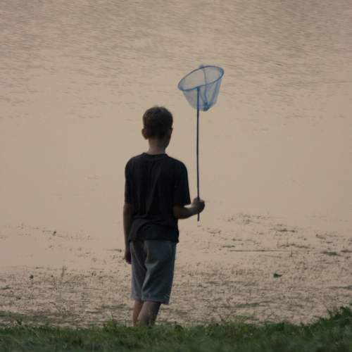 Photo #12382003