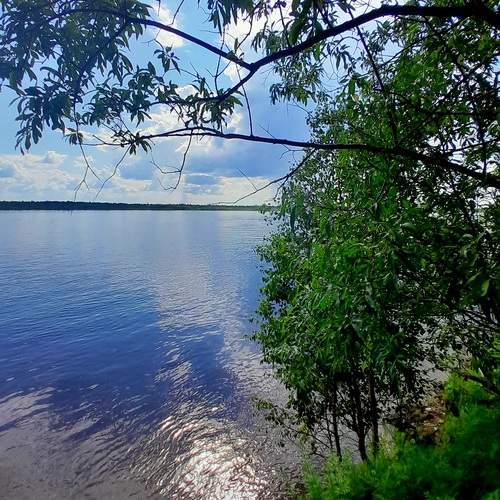 Photo #12382415