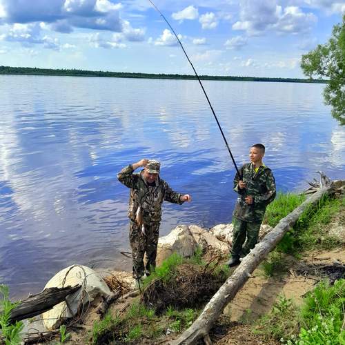Photo #12382610