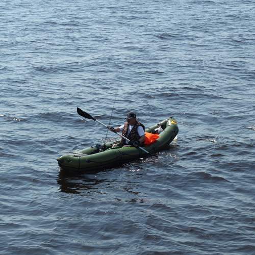 Photo #12382674
