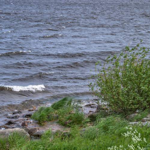 Photo #12382727