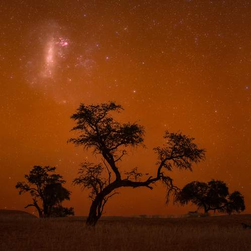 LMC in sodium airglow