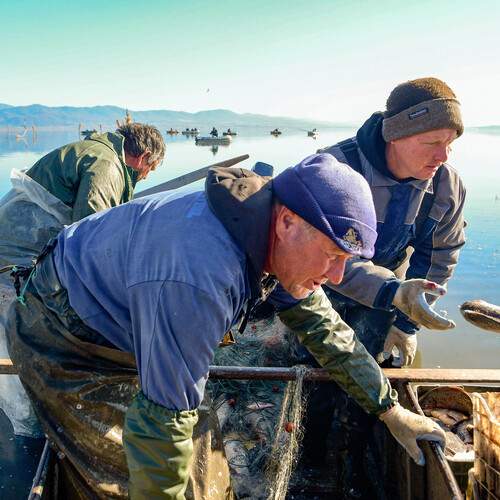 Fisherman on the Lake Dojran