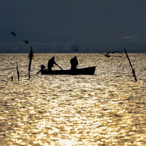 Silhouette of fisherman on lake Dojran