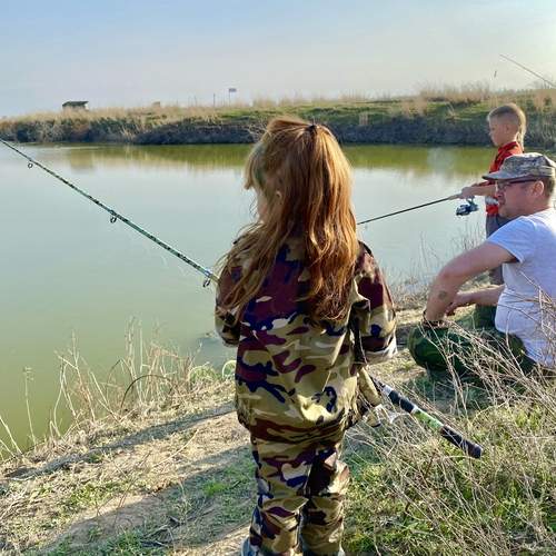 Photo #12383488