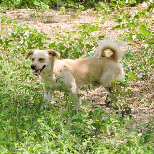 Photo #12383728