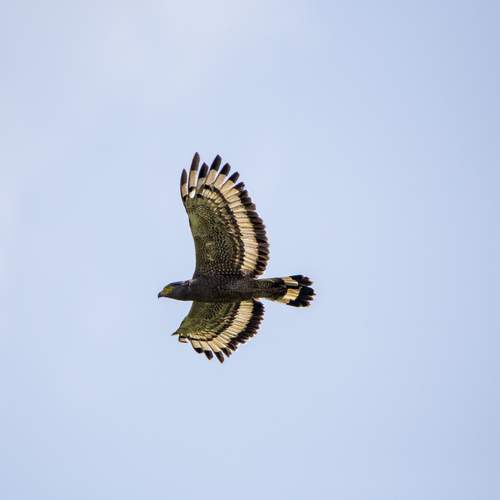 Photo #12383826