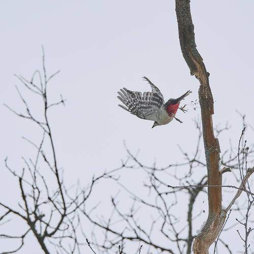 Photo #12384245