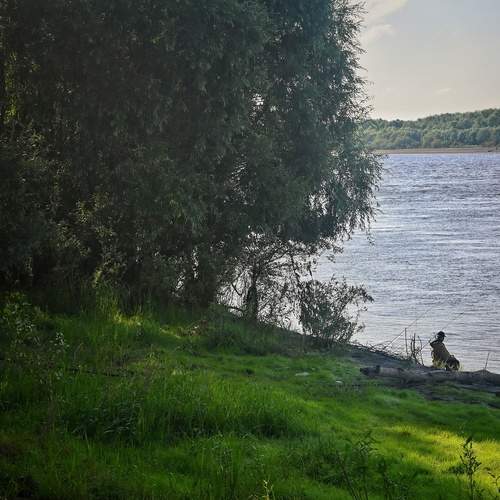 Photo #12384740