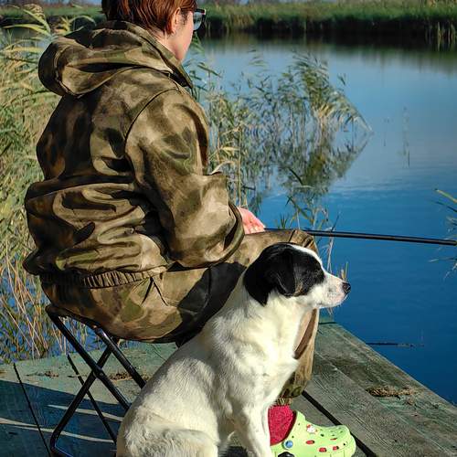 Photo #12384884