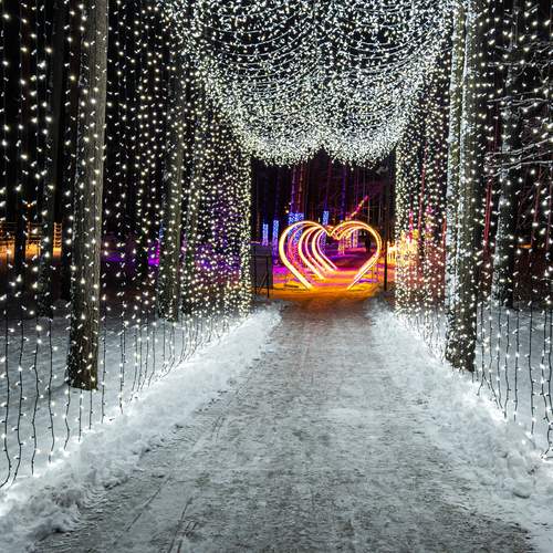 Photo #12385035