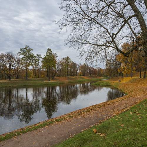 Photo #12385058