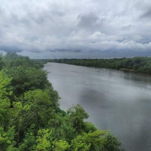 Photo #12385083