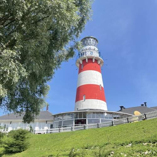 Photo #12385306