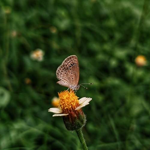 Photo #12385395