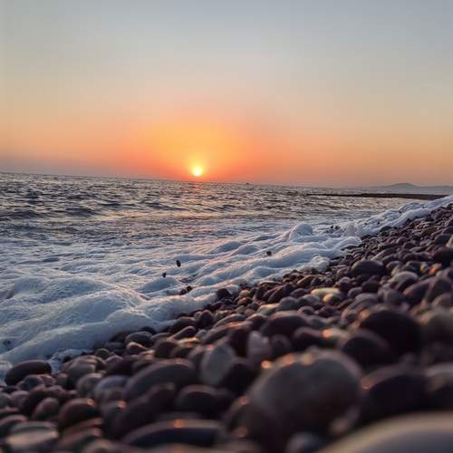 Photo #12385618