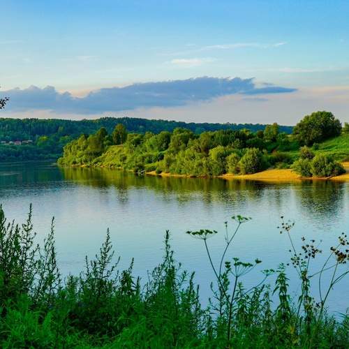 Photo #12385772