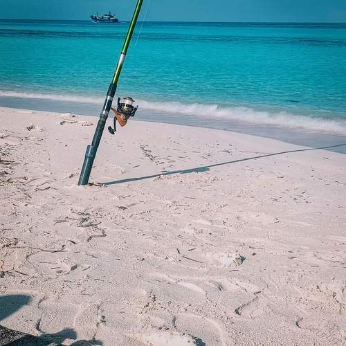 Photo #12385787