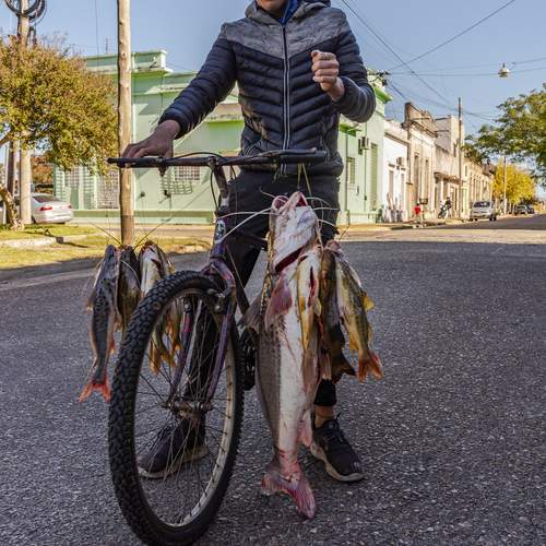 Photo #12385817