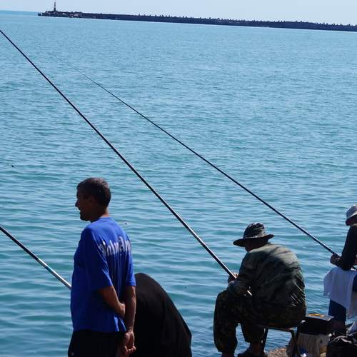 Photo #12385929