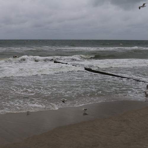 Photo #12386014