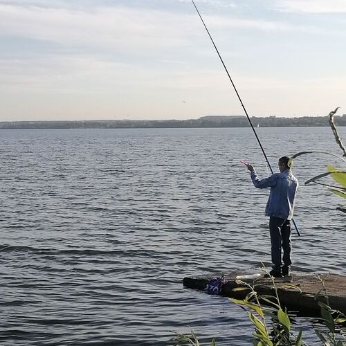 Photo #12386070