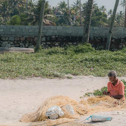 Photo #12386253