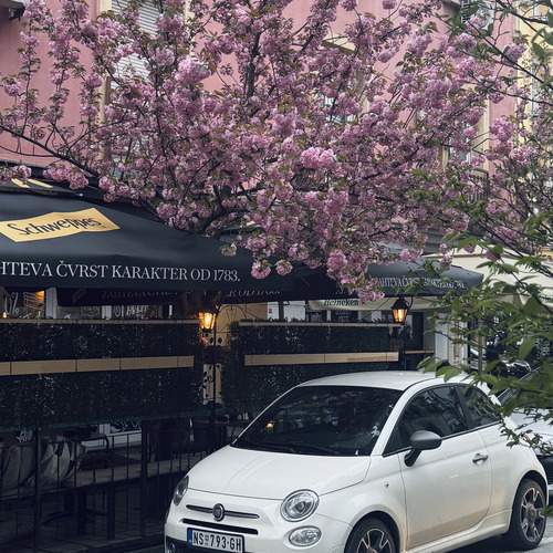 Photo #12386328