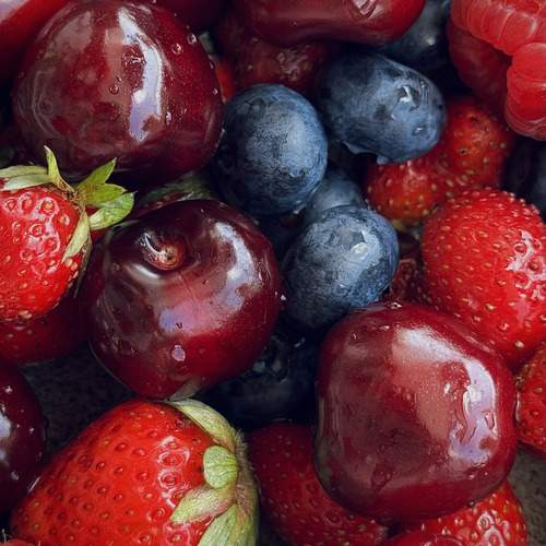 Photo #12386375