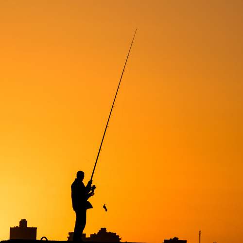 Photo #12386584
