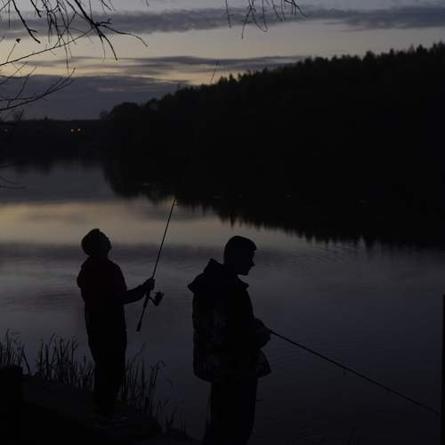 Photo #12386979