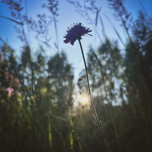 Photo #12387097
