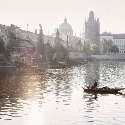 Photo #12387395