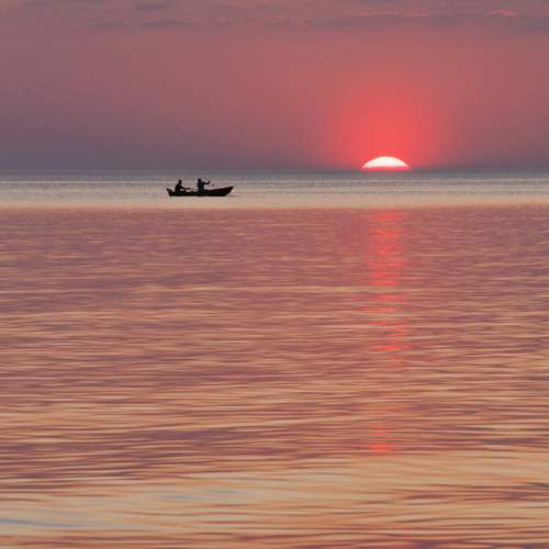 Photo #12387421
