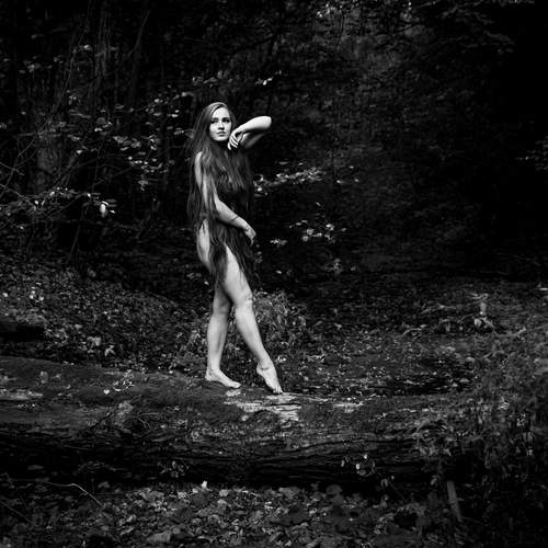 Photo #12387465