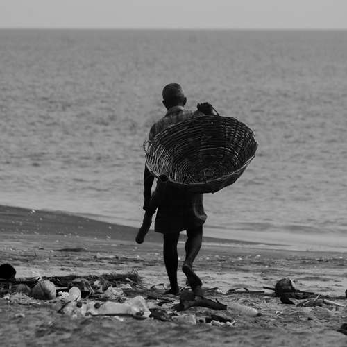 Photo #12387941