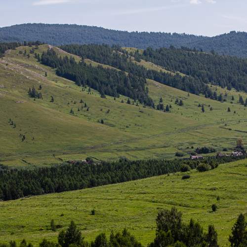 Photo #12388065