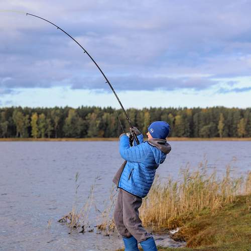 Photo #12388554