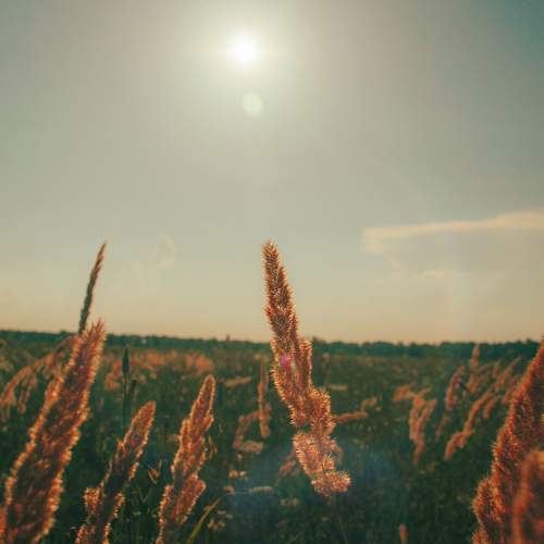 Photo #12388638