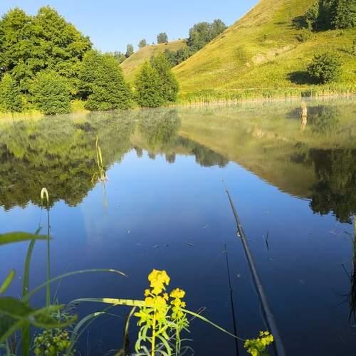 Photo #12388806