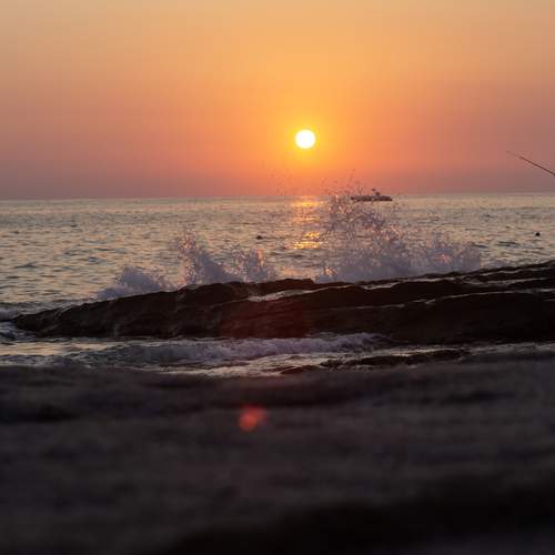 Photo #12389317