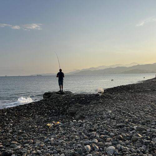 Photo #12389600