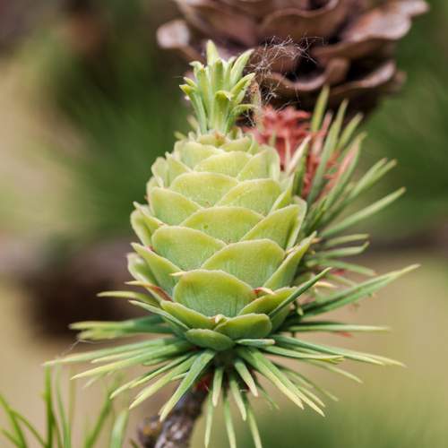Photo #12390451