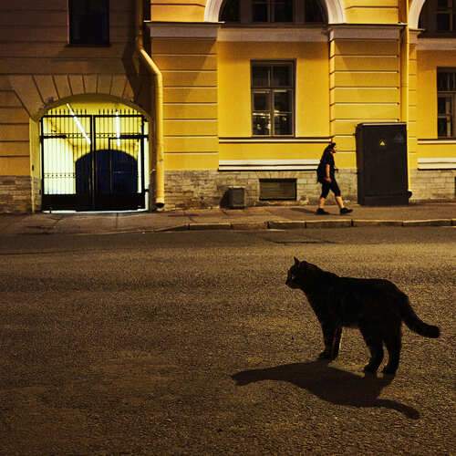 Photo #12391149