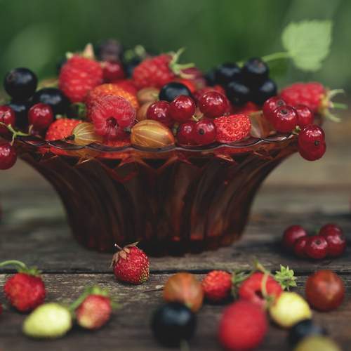 Фотография #12391805