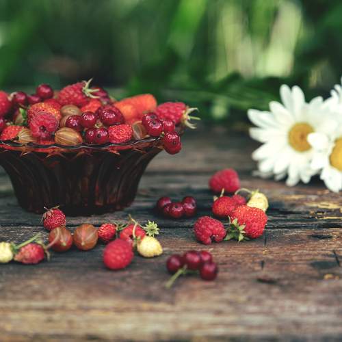 Фотография #12391807